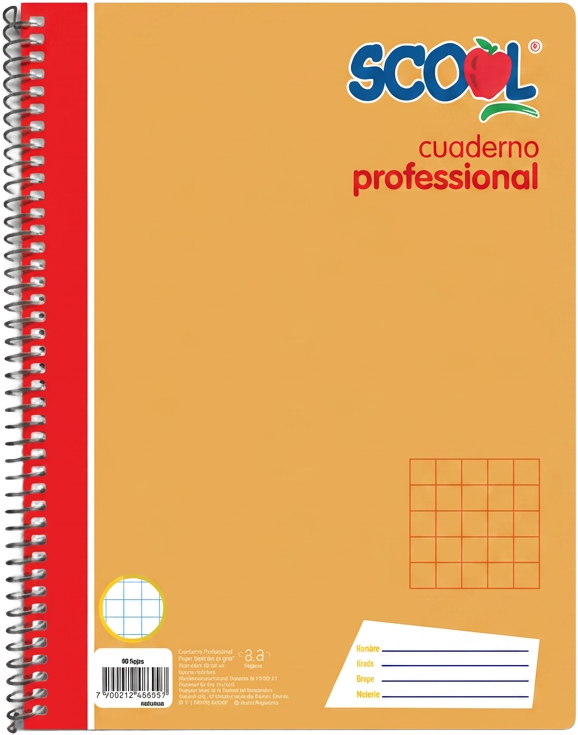 Cuaderno profesional Scool 100 hojas